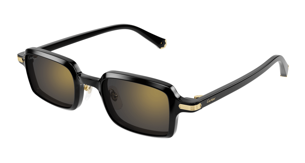 Cartier Sunglasses Black - CT0539S-001
