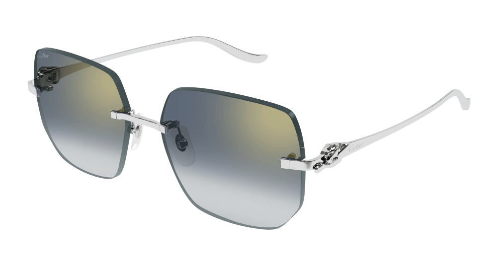Cartier Sunglasses Silver - CT0549S-003